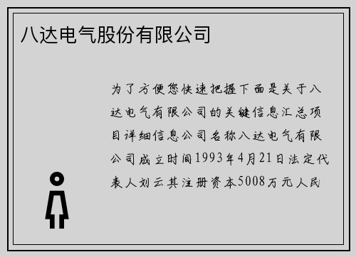 八达电气股份有限公司